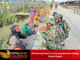 TNI Borong Hasil Tani Dorong Ekonomi Warga Obano Papua