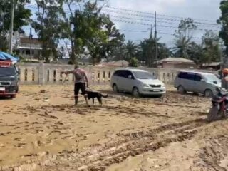 Polri Terjunkan Tim K-9 untuk Percepat Pencarian Korban Banjir di Aceh Tamiang